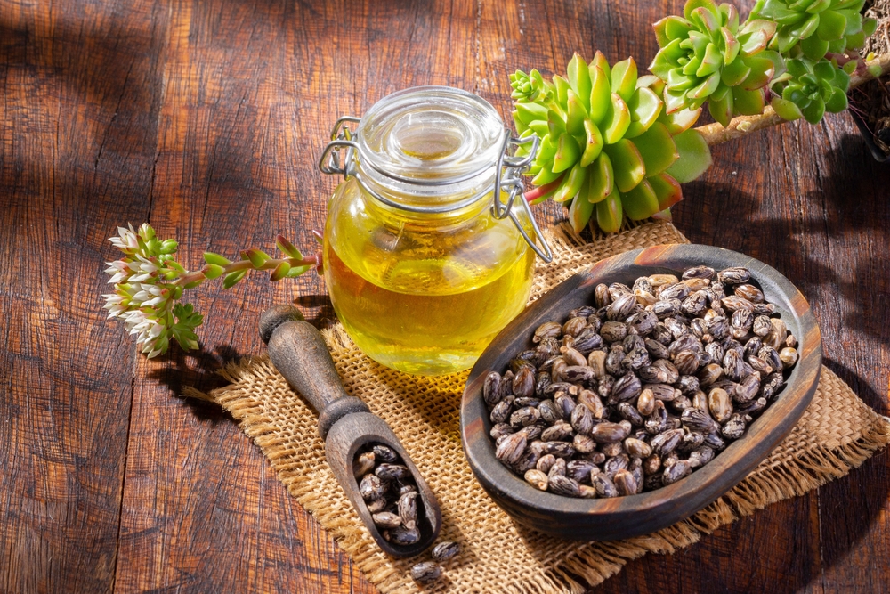 Castor grains and oil for hair growth on the table, close-up image