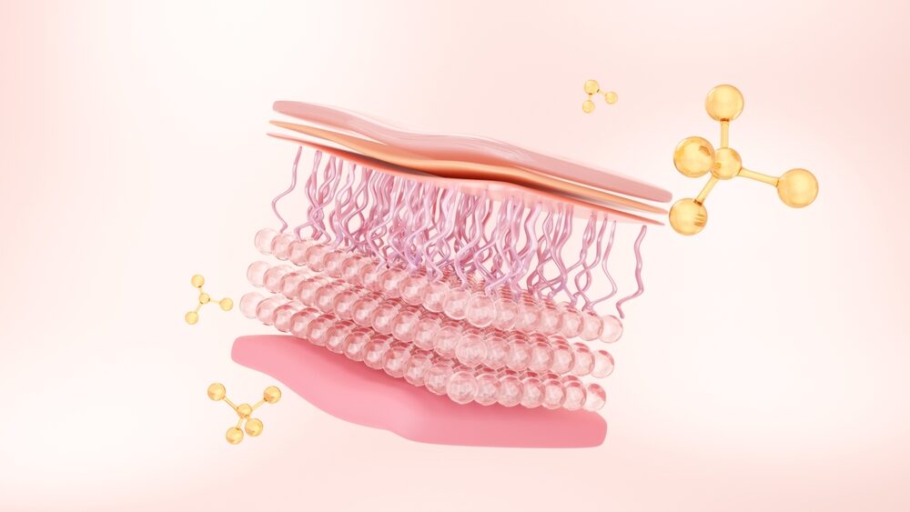 Illustrative representation of elasticity under skin layers with elastin and collagen